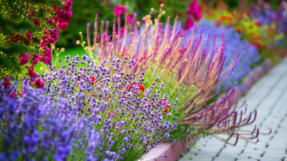 Garden Centers to Visit in Long Island for Landscape Architecture Month | Howard Hanna Coach Realtors